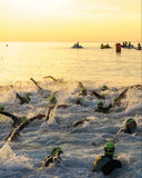 Open Water Race Strategy and Planning - Open Swim Training Lessons Singapore