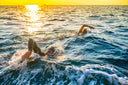 Sighting and Navigation for open Water Swim - Open Water Swim Lessons Singapore