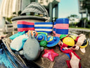 Water Toys and Equipment for Toddler Swimming lessons Singapore - Trusted Swimming Equipment for Young Children Learn to Swim Program
