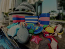 Water Toys and Equipment for Toddler Swimming lessons Singapore - Trusted Swimming Equipment for Young Children Learn to Swim